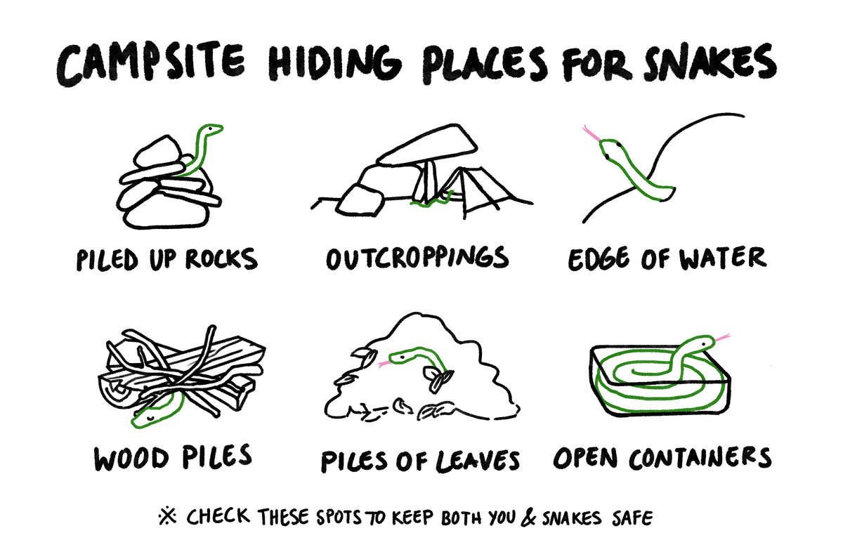 4 Tips To Keep Snakes Away From Your Tent Zpacks